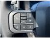 2025 Ford F-150 XLT (Stk: 25T896) in CRESTON - Image 22 of 25