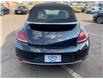 2017 Volkswagen Beetle 1.8 TSI Dune in Charlottetown - Image 8 of 17