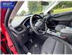 2025 Ford Escape Active (Stk: ES62844) in Windsor - Image 20 of 27