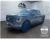 2023 Ford F-150  (Stk: 15195) in Golden - Image 1 of 17