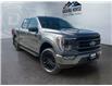 2023 Ford F-150  (Stk: 15195) in Golden - Image 3 of 17