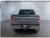 2023 Ford F-150  (Stk: 15195) in Golden - Image 6 of 17