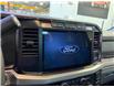 2024 Ford F-250 XLT (Stk: 25026A) in Melfort - Image 10 of 11