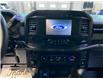 2021 Ford F-150 Tremor (Stk: 25092B) in Melfort - Image 11 of 11