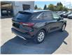 2024 Ford Escape Active (Stk: 251209) in Kingston - Image 3 of 21