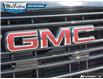2026 GMC Sierra 1500 Elevation (Stk: 6460140) in Petrolia - Image 9 of 27
