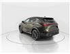 2026 Lexus NX 350  (Stk: 14111282) in Markham - Image 6 of 10
