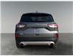 2022 Ford Escape SEL (Stk: P40228C) in Saskatoon - Image 4 of 15