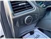 2024 Ford Edge  (Stk: TL59368) in Windsor - Image 16 of 25