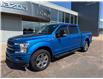 2019 Ford F-150 Lariat (Stk: 24463) in Pembroke - Image 3 of 25