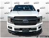 2019 Ford F-150 XLT (Stk: D5F166A) in Oakville - Image 4 of 27