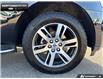 2023 Ford Expedition Limited (Stk: DR1056) in Brantford - Image 6 of 23