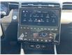 2024 Hyundai Tucson Hybrid Luxury (Stk: 35071A) in Scarborough - Image 18 of 19
