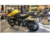 2026 Triumph TIGER SPORT 800 (Stk: 26TS-007) in Grande Prairie - Image 8 of 15