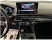 2025 Honda Civic Hybrid Sport (Stk: 42969J) in Belleville - Image 12 of 20