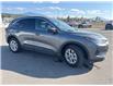 2023 Ford Escape Active (Stk: UA19766K) in Cranbrook - Image 7 of 18