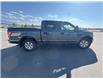 2018 Ford F-150  (Stk: T557223L) in Cranbrook - Image 6 of 20