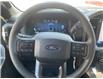 2025 Ford F-150 STX (Stk: 0T5562) in Kamloops - Image 14 of 25