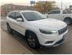 2019 Jeep Cherokee Limited (Stk: J483458) in Scarborough - Image 3 of 27