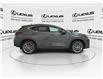 2026 Lexus NX 350  (Stk: 14111219) in Markham - Image 9 of 14