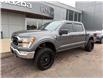 2021 Ford F-150 XLT (Stk: 24577) in Pembroke - Image 3 of 26 2021 Ford F-150 XLT (Stk: 24577) in Pembroke - Image 3 of 26