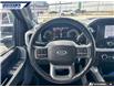 2022 Ford F-150 XLT (Stk: P4123L) in Dartmouth - Image 13 of 24