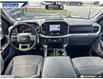 2022 Ford F-150 XLT (Stk: P4123L) in Dartmouth - Image 23 of 24