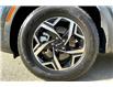 2024 Kia Sportage LX (Stk: 24B1849) in Sherwood Park - Image 9 of 30