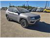 2019 Jeep Compass Trailhawk (Stk: 26T011A) in Wadena - Image 4 of 15