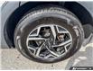 2023 Kia Sportage  (Stk: 163742) in London - Image 6 of 26