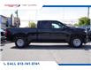 2019 Chevrolet Silverado 1500 Work Truck (Stk: 25183A) in Ottawa - Image 7 of 20
