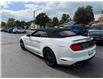 2022 Ford Mustang GT Premium (Stk: 25319A) in Amherstburg - Image 4 of 15