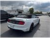 2022 Ford Mustang GT Premium (Stk: 25319A) in Amherstburg - Image 6 of 15