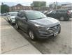 2017 Hyundai Tucson SE (Stk: H376118) in Scarborough - Image 6 of 19