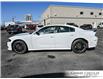 2023 Dodge Charger GT (Stk: U6254) in Grimsby - Image 3 of 33