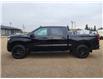 2024 Chevrolet Silverado 1500 LT Trail Boss (Stk: N250704A) in Stony Plain - Image 3 of 50
