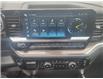 2024 Chevrolet Silverado 1500 LT Trail Boss (Stk: N250704A) in Stony Plain - Image 26 of 50