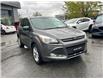 2014 Ford Escape SE (Stk: 796036J) in Surrey - Image 6 of 15