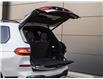 2021 BMW X7 xDrive40i (Stk: P10168) in Windsor - Image 6 of 32