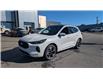 2025 Ford Escape ST-Line Elite (Stk: ES559) in Miramichi - Image 1 of 14