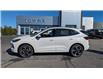 2025 Ford Escape ST-Line Elite (Stk: ES559) in Miramichi - Image 2 of 14
