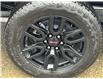 2026 GMC Sierra 1500 Elevation (Stk: 26T15) in Port Alberni - Image 34 of 48