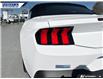2024 Ford Mustang GT Premium (Stk: P4418) in Dartmouth - Image 12 of 25 2024 Ford Mustang GT Premium (Stk: P4418) in Dartmouth - Image 12 of 25