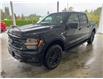 2025 Ford F-150 XLT (Stk: 25344) in Port Alberni - Image 8 of 27