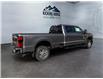 2026 Ford F-350  (Stk: 15184) in Golden - Image 5 of 17