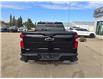 2021 Chevrolet Silverado 1500 LT Trail Boss (Stk: 25T177A) in Wadena - Image 7 of 18