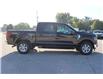 2025 Ford F-150 XLT (Stk: LT2532) in Harrow - Image 4 of 19