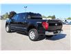 2025 Ford F-150 XLT (Stk: LT2532) in Harrow - Image 7 of 19