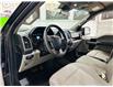 2020 Ford F-150 XLT (Stk: C6833) in Saint-Eustache - Image 13 of 25