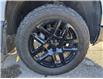 2024 Chevrolet Silverado 1500 LT Trail Boss (Stk: UT30126) in Haliburton - Image 7 of 19